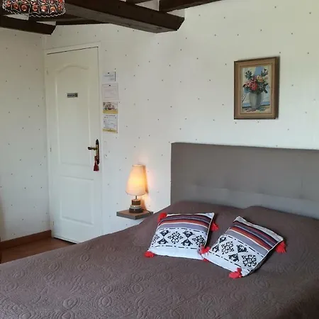 Chambres D'hotes Les Hirondelles Bleues 滨海伊西尼